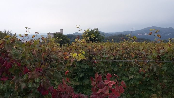 Rocca dietro la vigna