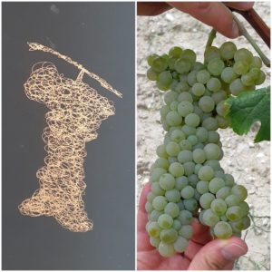 Trebbiano Spoletino