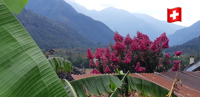 Vista da Lodano